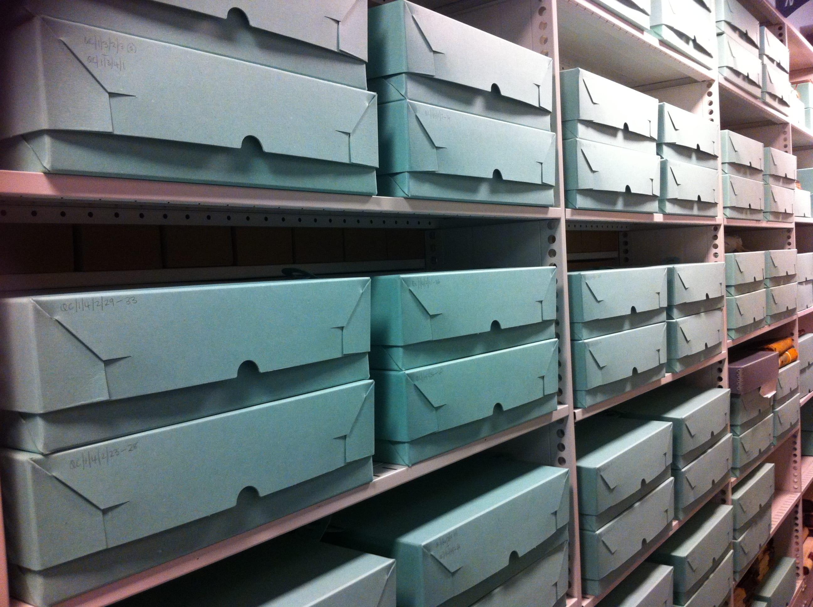 rows of green archive boxes on the shelves in the Archives Store