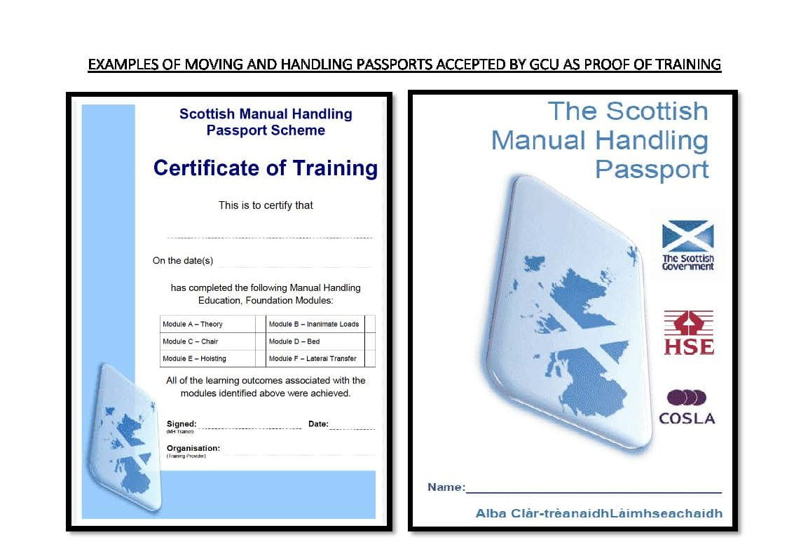 This image shows the Scottish moving and handling passport with sections completed